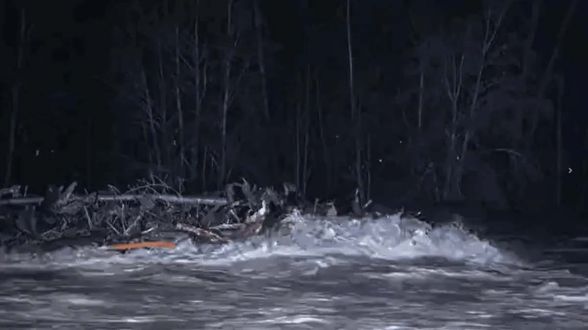 Urgent Evacuation Orders Issued as River Levels Surge in Orting