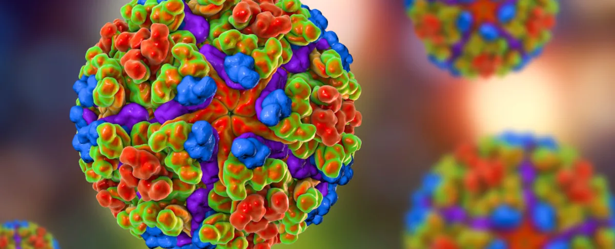 Urgent WHO Warning: Chikungunya Virus Epidemic Threatens Global Health