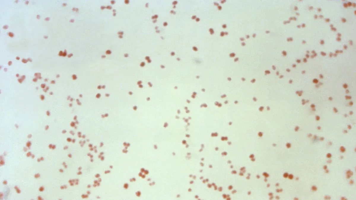 U.S. Sexually Transmitted Disease Rates Drop, But Congenital Syphilis Cases Rise Alarmingly