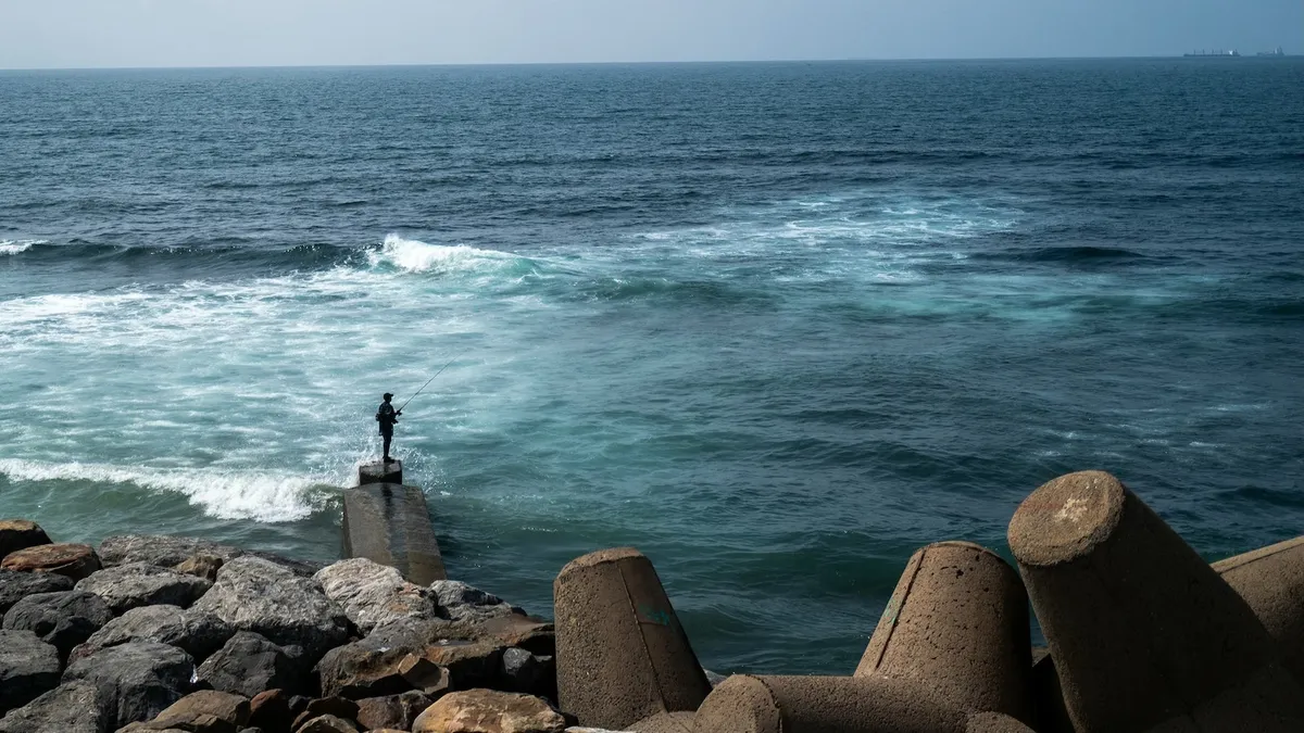 Warming Oceans Changing Colors: What It Means for Our Future