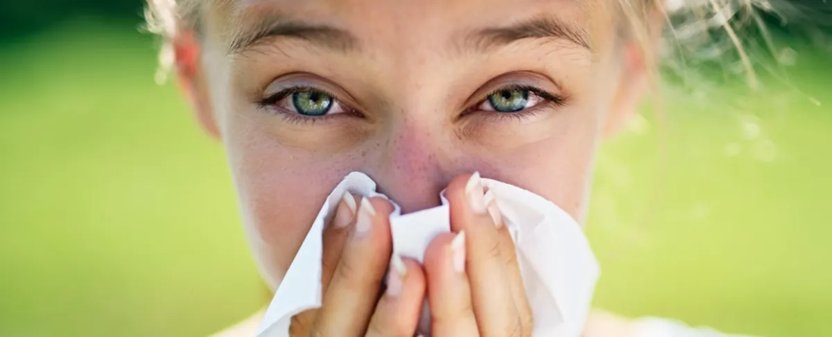 Why Spring Pollen is Becoming a Bigger Problem: The Hidden Impact of Climate Change