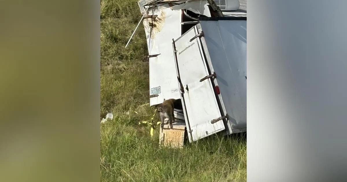 Why You Can't Access This Website: Understanding GDPR Regulations