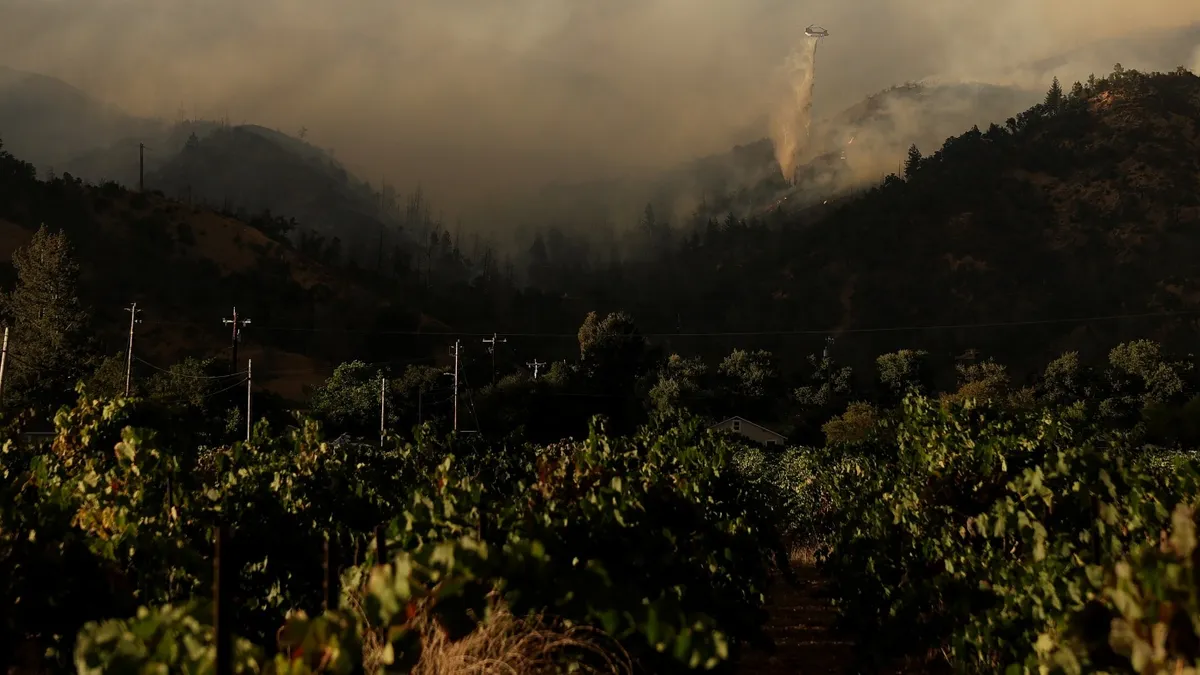 Wildfires Rage Across the West: Napa County Evacuations in Full Effect