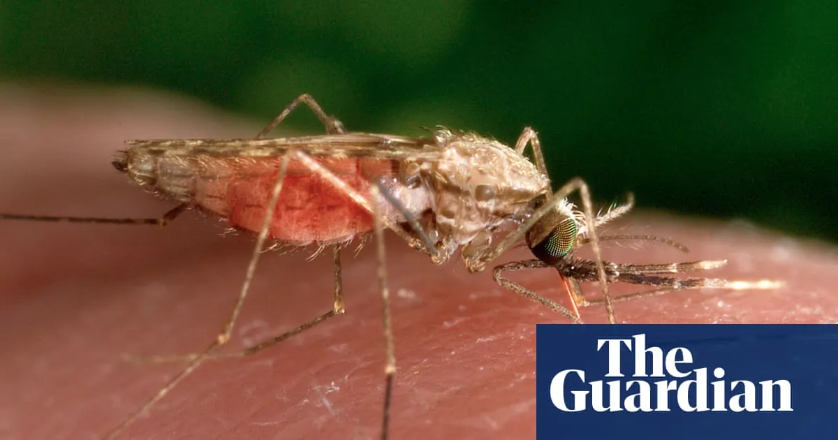 Zimbabwe's Malaria Crisis: A Surge in Cases After US Aid Cuts